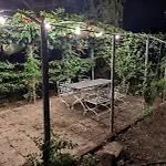 L'oliveta * Peccioli