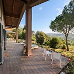 L'oliveta *